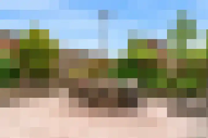 Ottersveen 158 Spijkenisse thumbnail 34