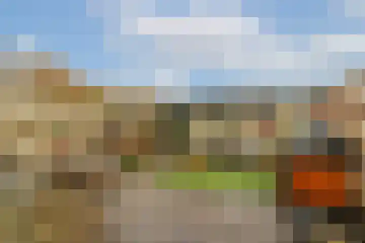 Ottersveen 160 Spijkenisse thumbnail 26