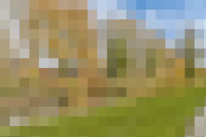 Ottersveen 160 Spijkenisse thumbnail 32