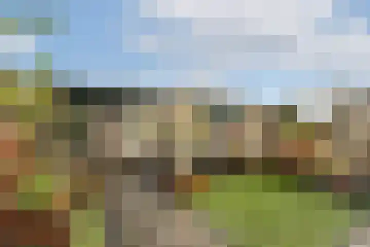 Ottersveen 160 Spijkenisse thumbnail 5