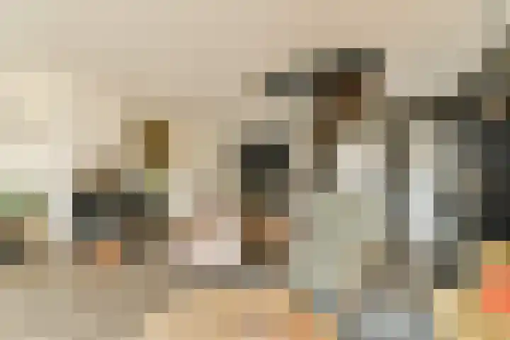Ottersveen 160 Spijkenisse thumbnail 8