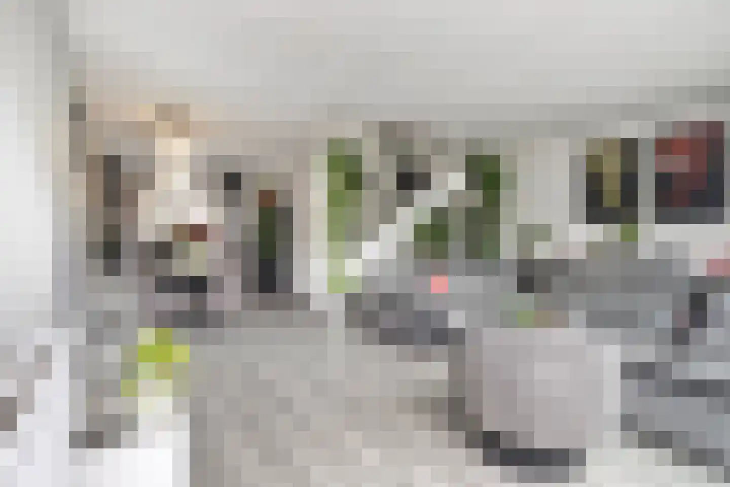 Ottersveen 317 Spijkenisse thumbnail 9