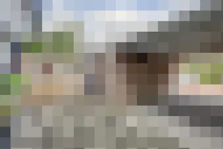 Ottersveen 406 Spijkenisse thumbnail 17