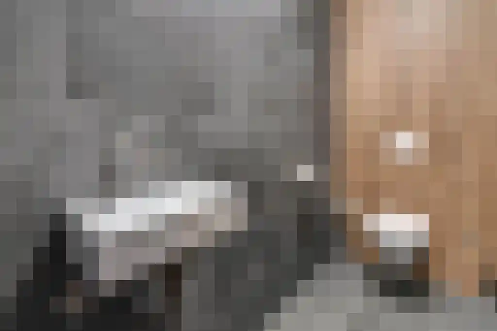 Otterswijk 12 Dedemsvaart thumbnail 41