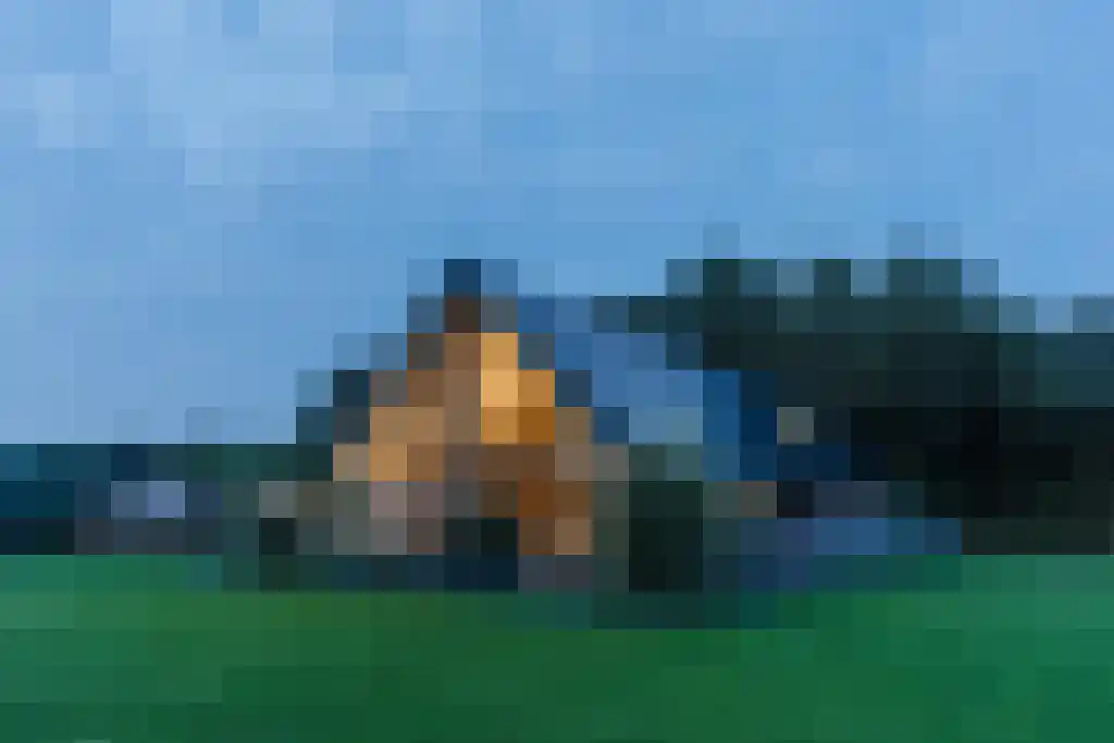 Otterswijk 12 Dedemsvaart thumbnail 5