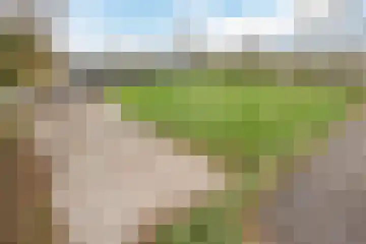 Otterswijk 8 Dedemsvaart thumbnail 4