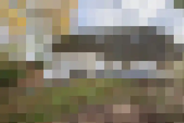 Otterswijk 8 Dedemsvaart thumbnail 5