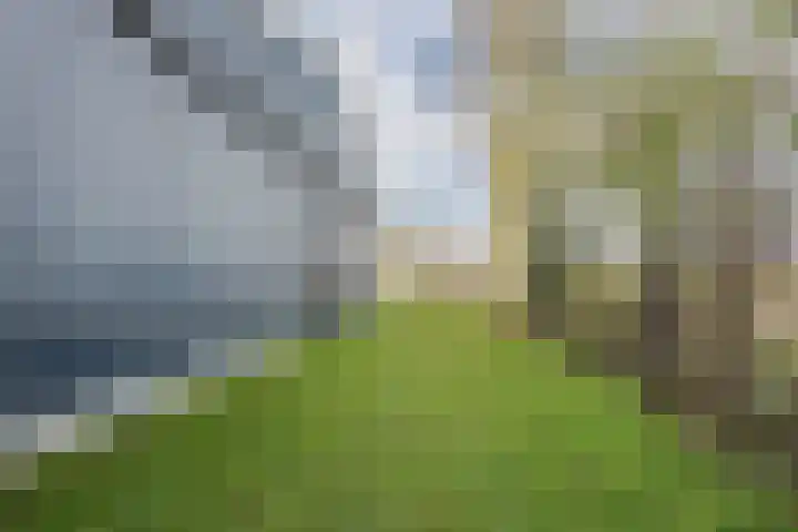 Otterswijk 8 Dedemsvaart thumbnail 66