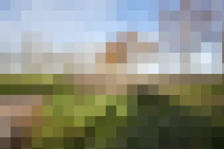 Otterswijk 8 Dedemsvaart thumbnail 71
