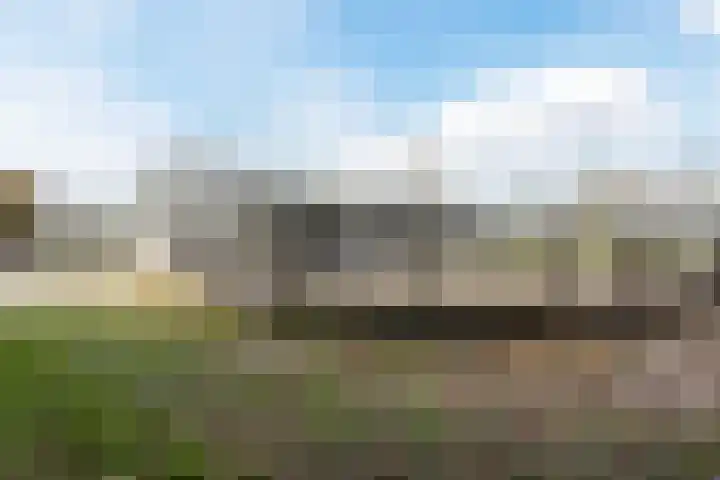 Otterswijk 8 Dedemsvaart thumbnail 76