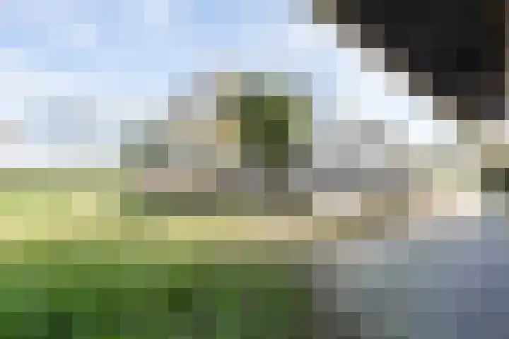 Otterswijk 8 Dedemsvaart thumbnail 78