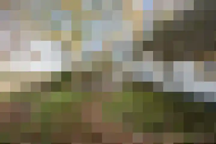 Otterswijk 8 Dedemsvaart thumbnail 92