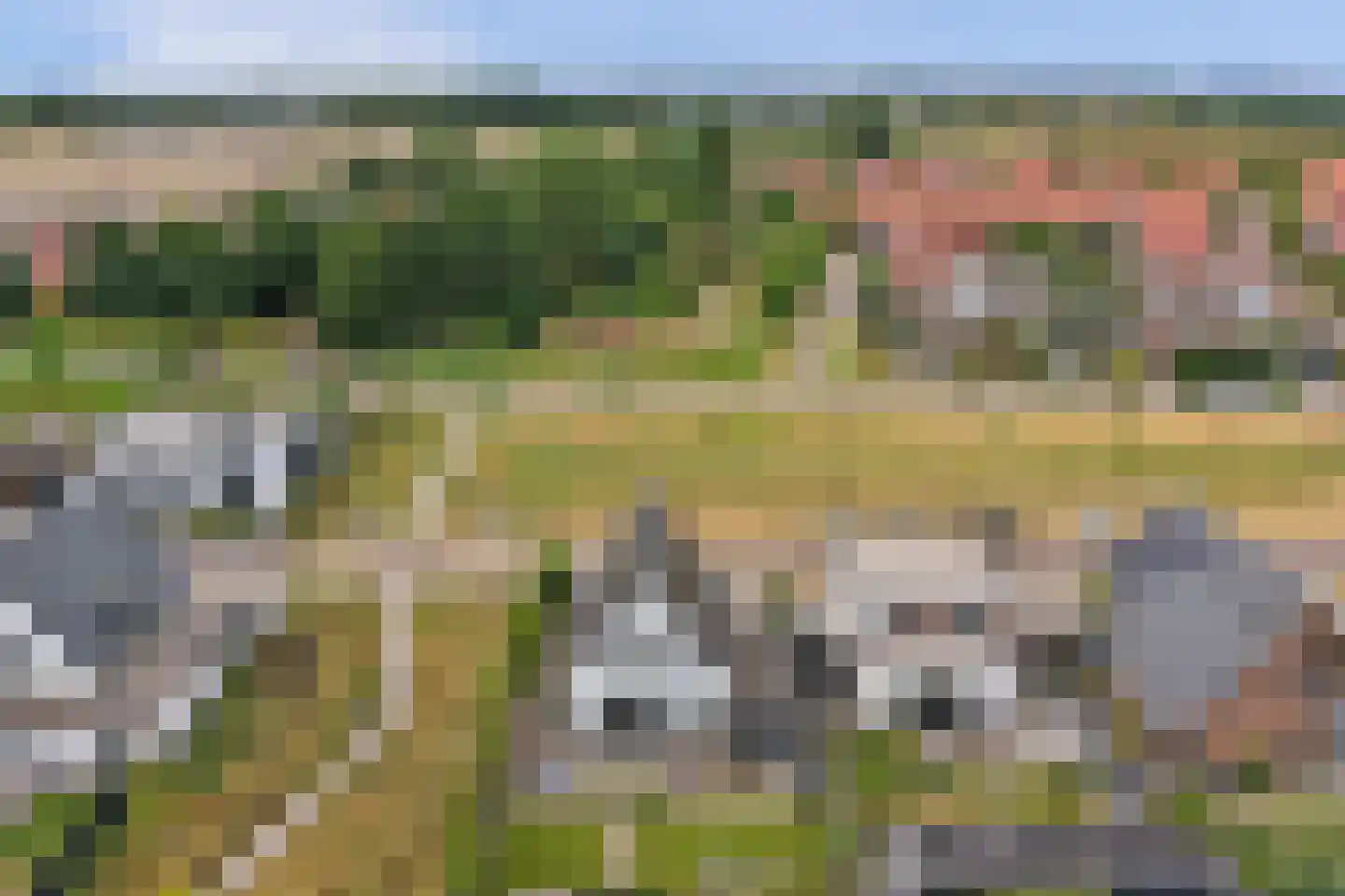 Ottertjes 15 Kapelle thumbnail 50
