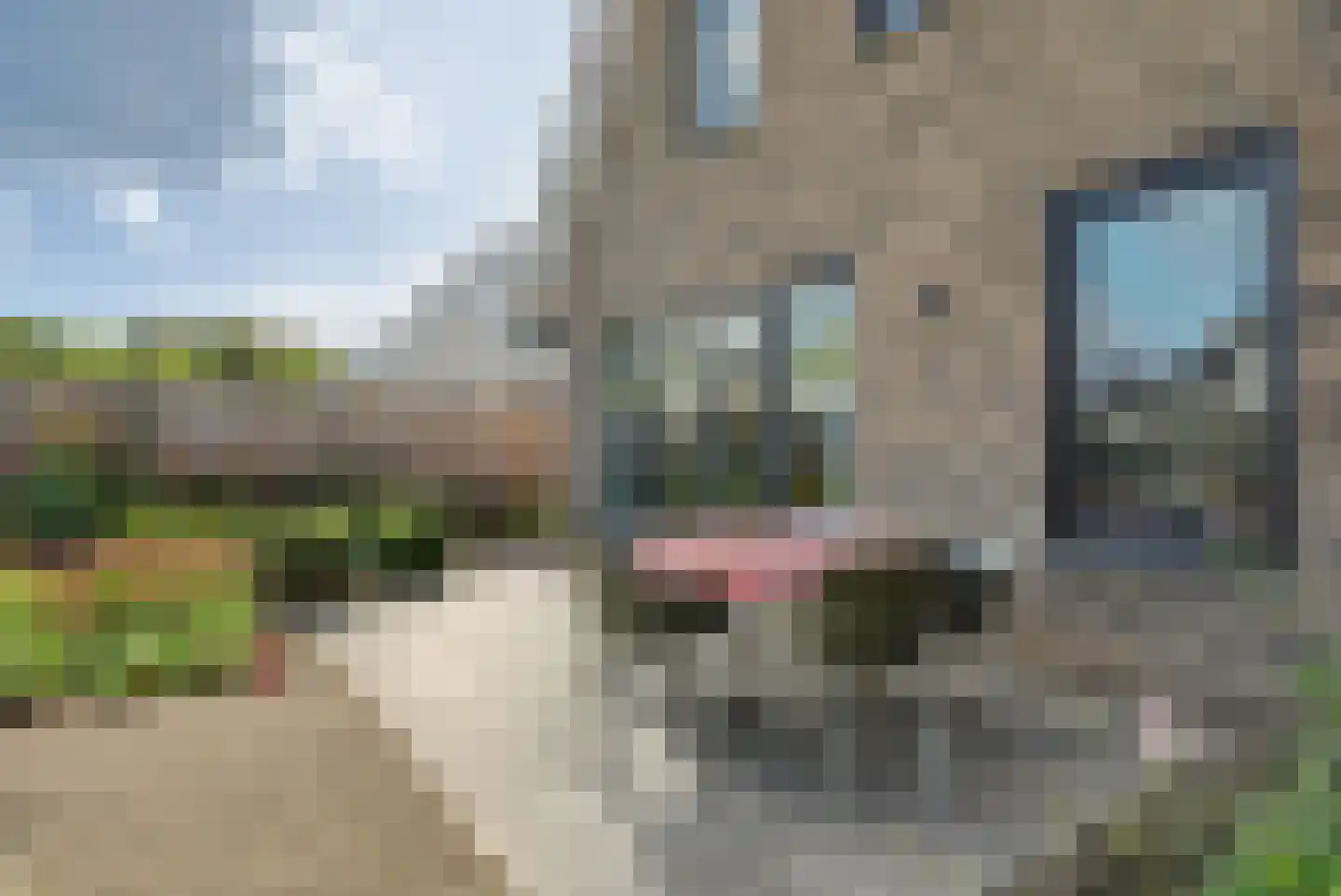 Ottertjes 19 Kapelle thumbnail 50