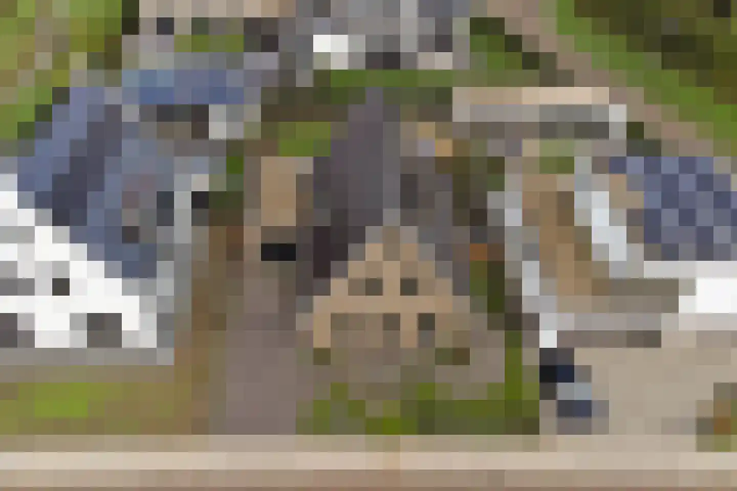 Ottertjes 19 Kapelle thumbnail 64