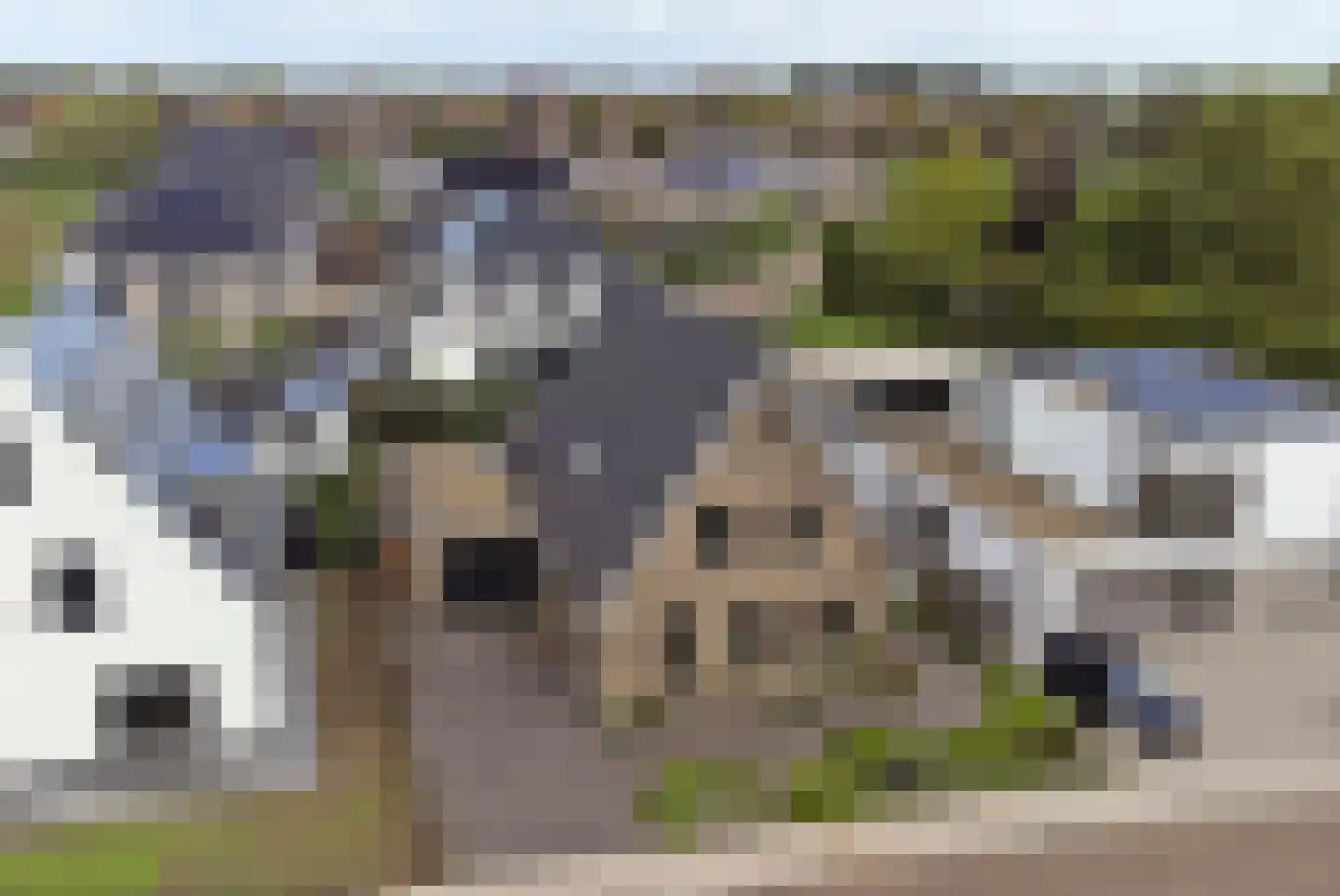 Ottertjes 19 Kapelle thumbnail 65
