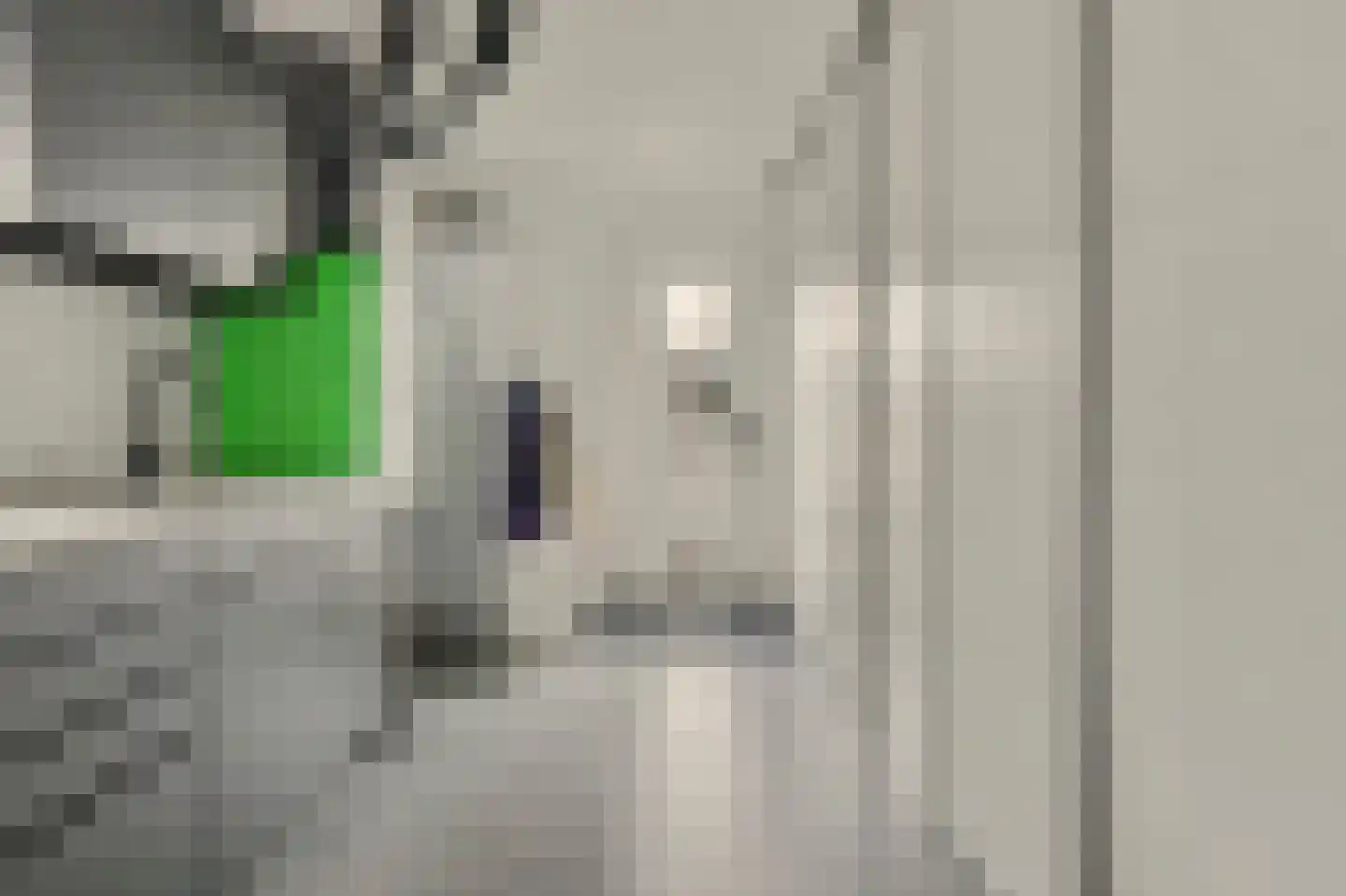 Ottertjes 21 Kapelle thumbnail 17