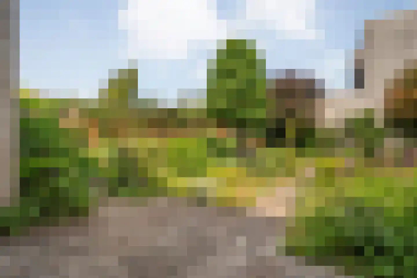 Otterveld 8 Zwolle thumbnail 43
