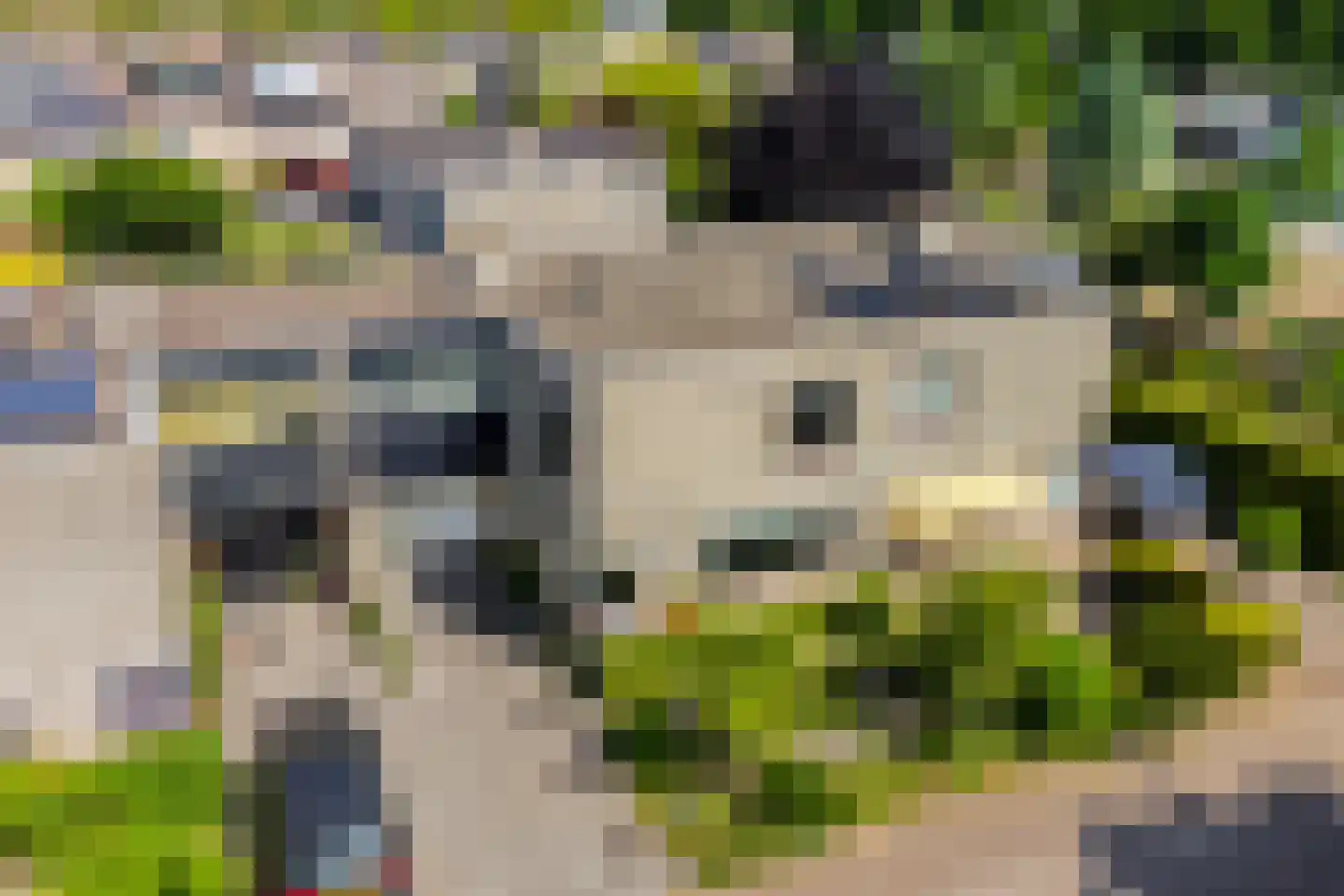 Otterveld 8 Zwolle thumbnail 5