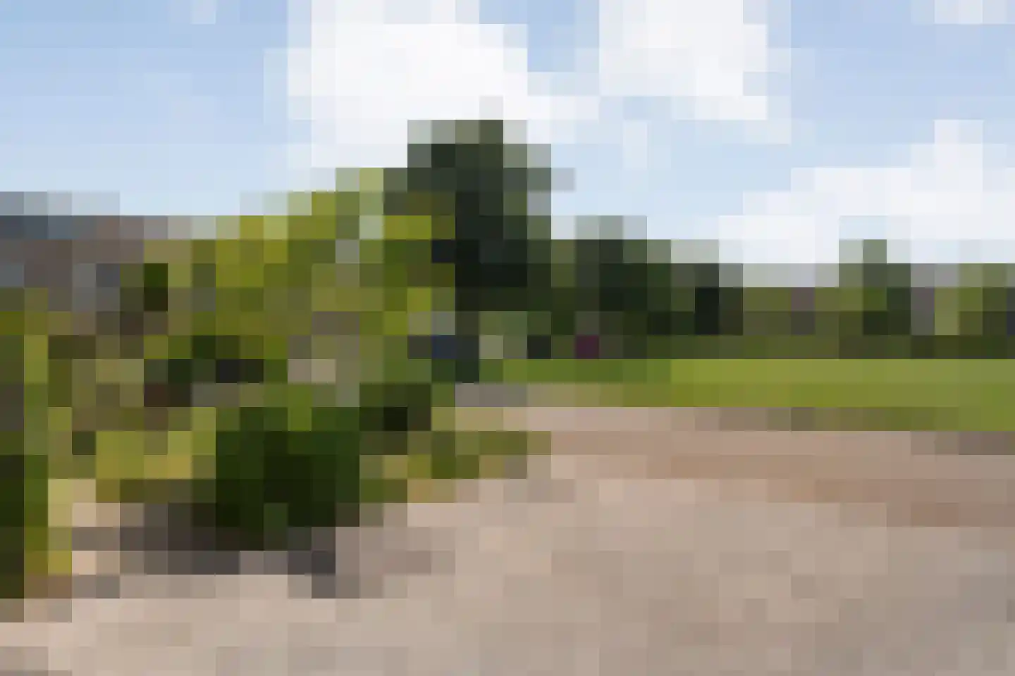Otterveld 8 Zwolle thumbnail 7