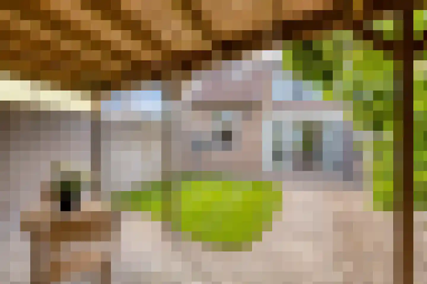 Otterweg 28 Beek en Donk thumbnail 29
