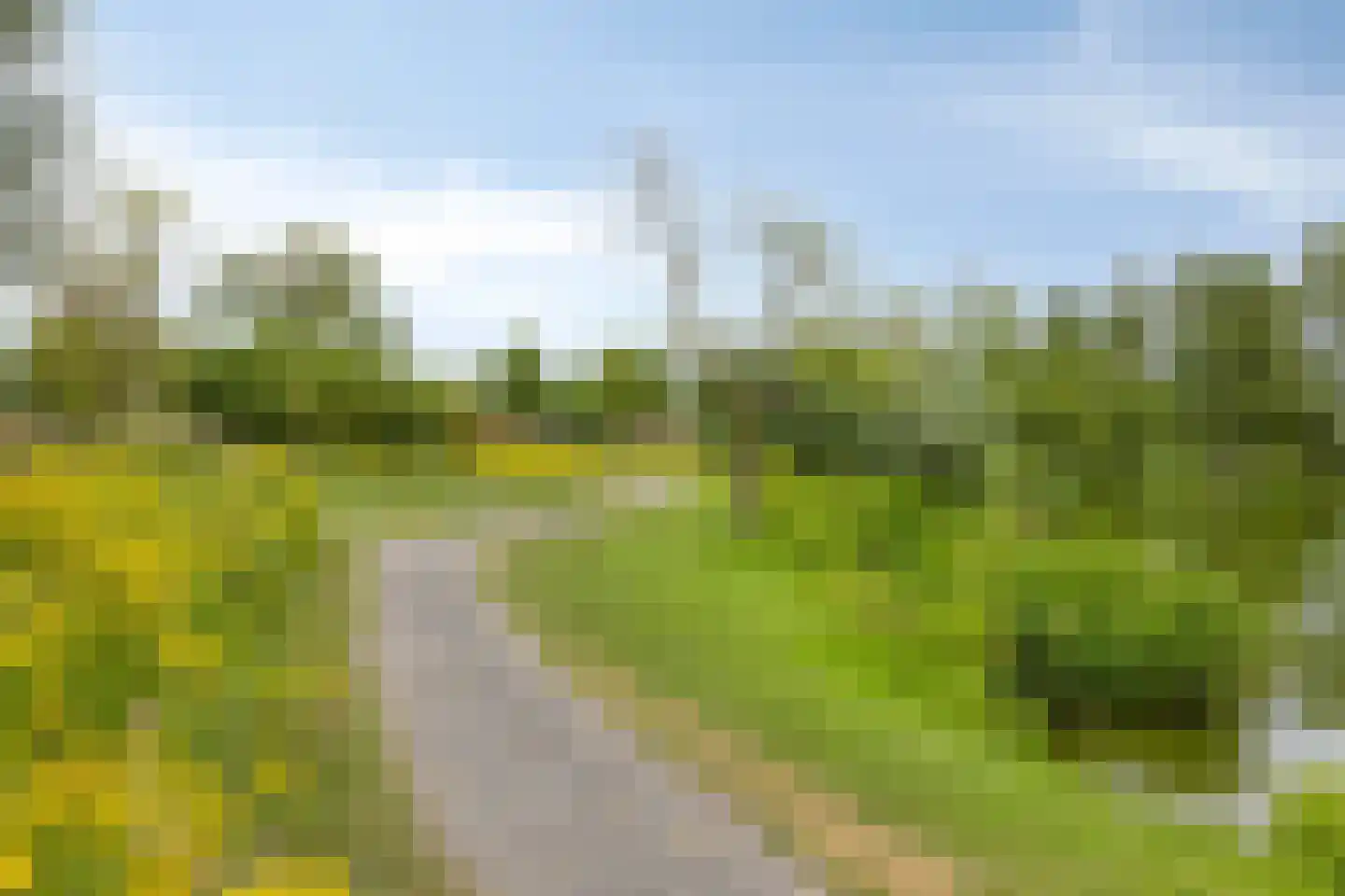 Otterweg 28 Beek en Donk thumbnail 36