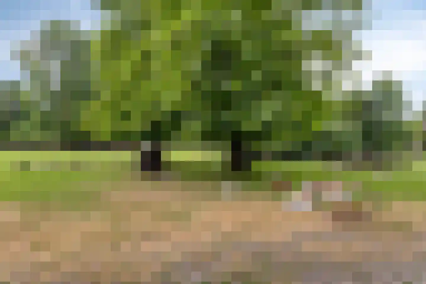 Otterweg 28 Beek en Donk thumbnail 37