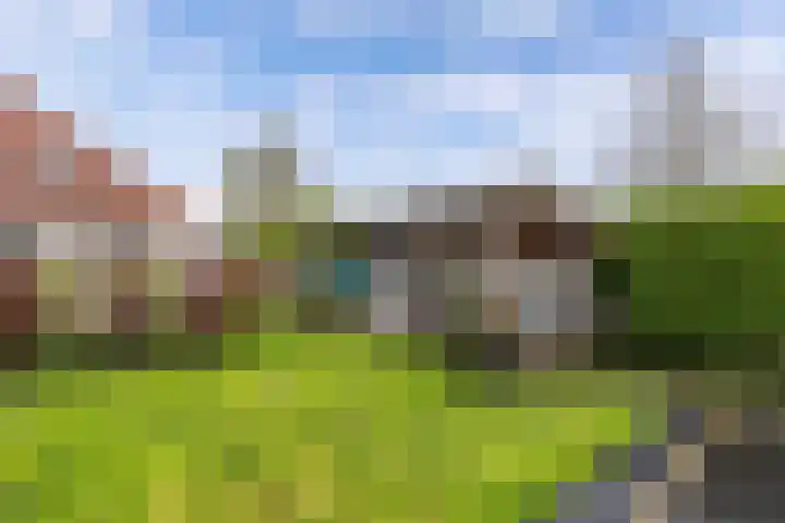 Otterweg 45 Bantega thumbnail 63