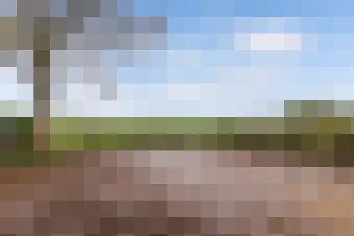 Otterweg 45 Bantega thumbnail 66