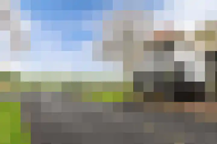 Otterweg 45 Bantega thumbnail 69