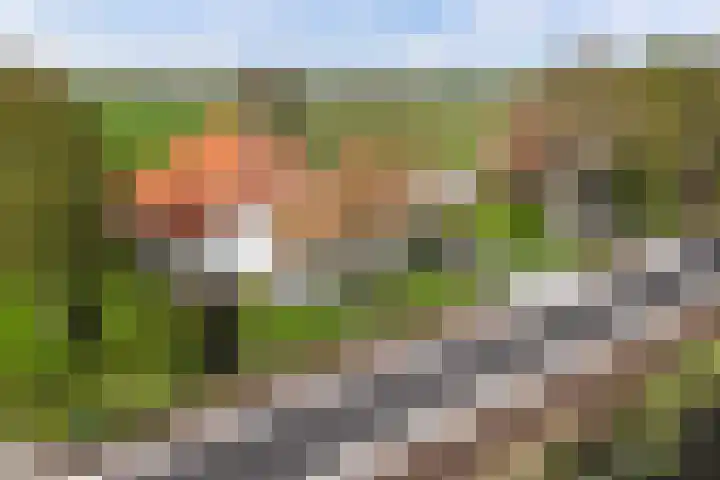 Otterweg 45 Bantega thumbnail 78