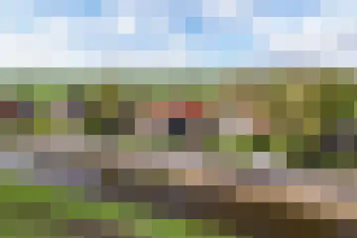Otterweg 45 Bantega thumbnail 79