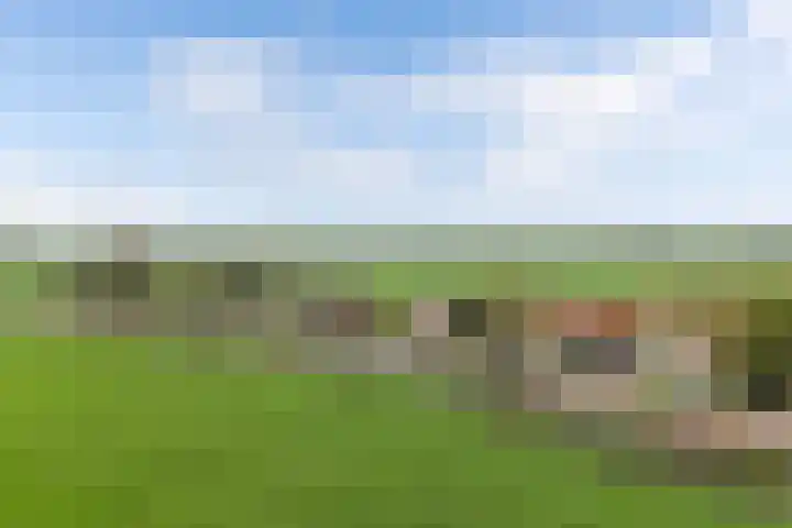 Otterweg 45 Bantega thumbnail 82