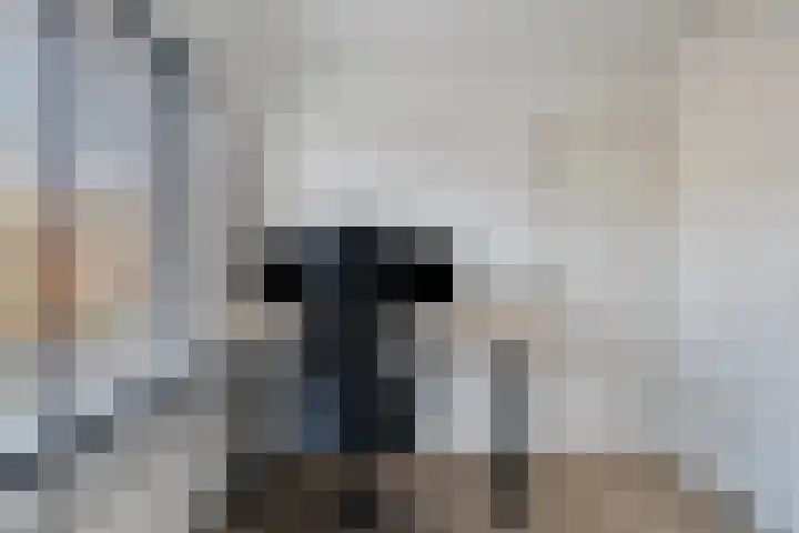 Otterweg 6 Beek en Donk thumbnail 21