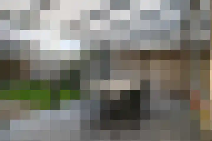 Otterweg 6 Beek en Donk thumbnail 24