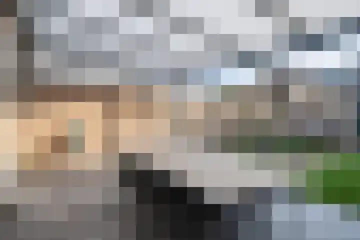 Otterweg 6 Beek en Donk thumbnail 25
