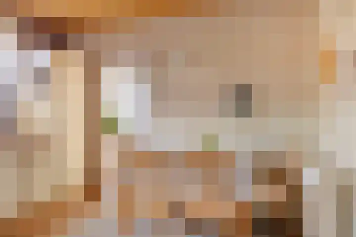 Otterweg 60 Beek en Donk thumbnail 13