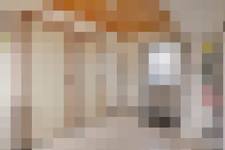 Otterweg 60 Beek en Donk thumbnail 15