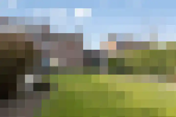 Otterweg 60 Beek en Donk thumbnail 33