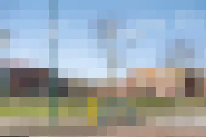 Otterweg 60 Beek en Donk thumbnail 37