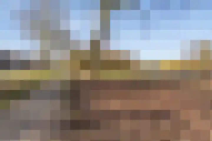 Otterweg 60 Beek en Donk thumbnail 38