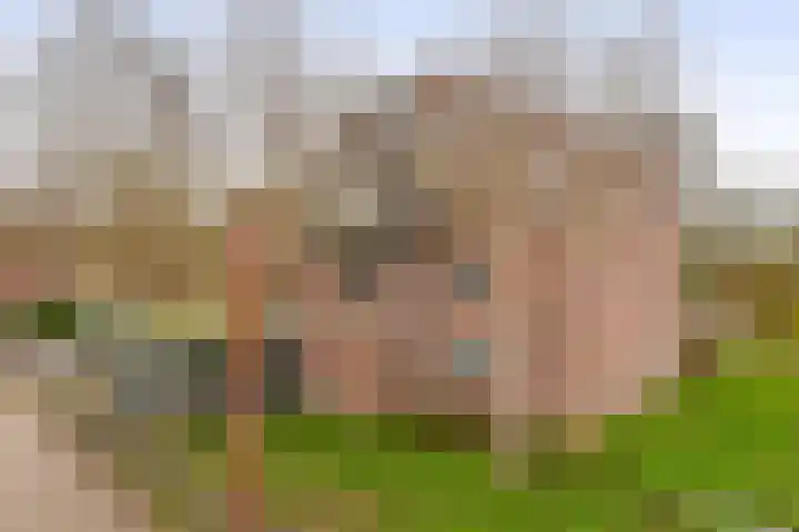 Otterweide 23 Nieuwegein thumbnail 26