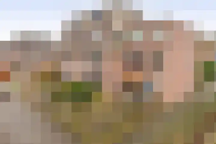 Otterweide 23 Nieuwegein thumbnail 27