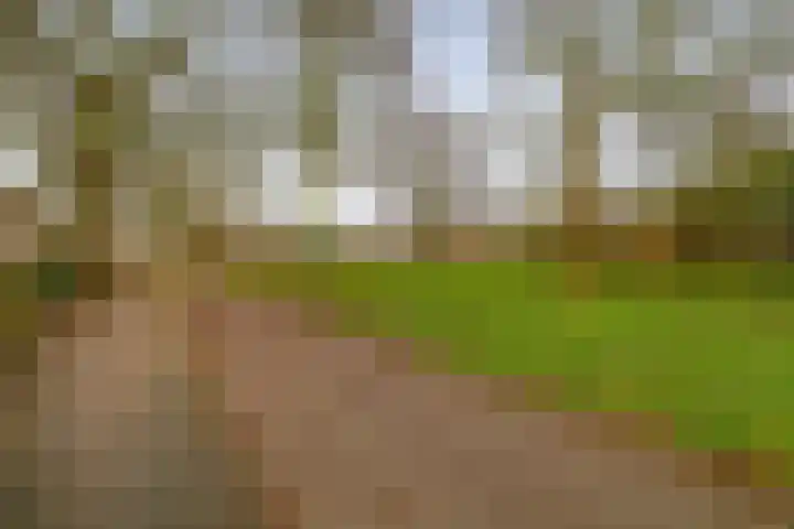 Otterweide 23 Nieuwegein thumbnail 28