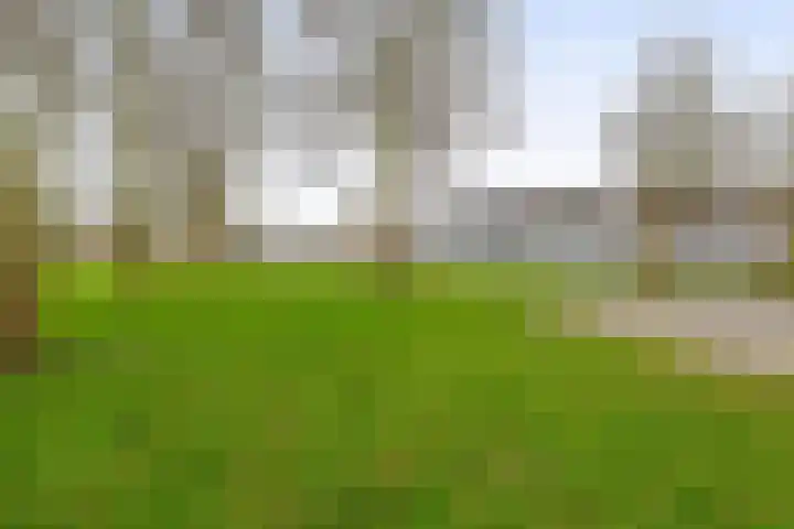 Otterweide 23 Nieuwegein thumbnail 29