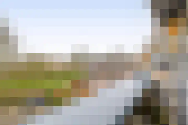 Otterweide 23 Nieuwegein thumbnail 5