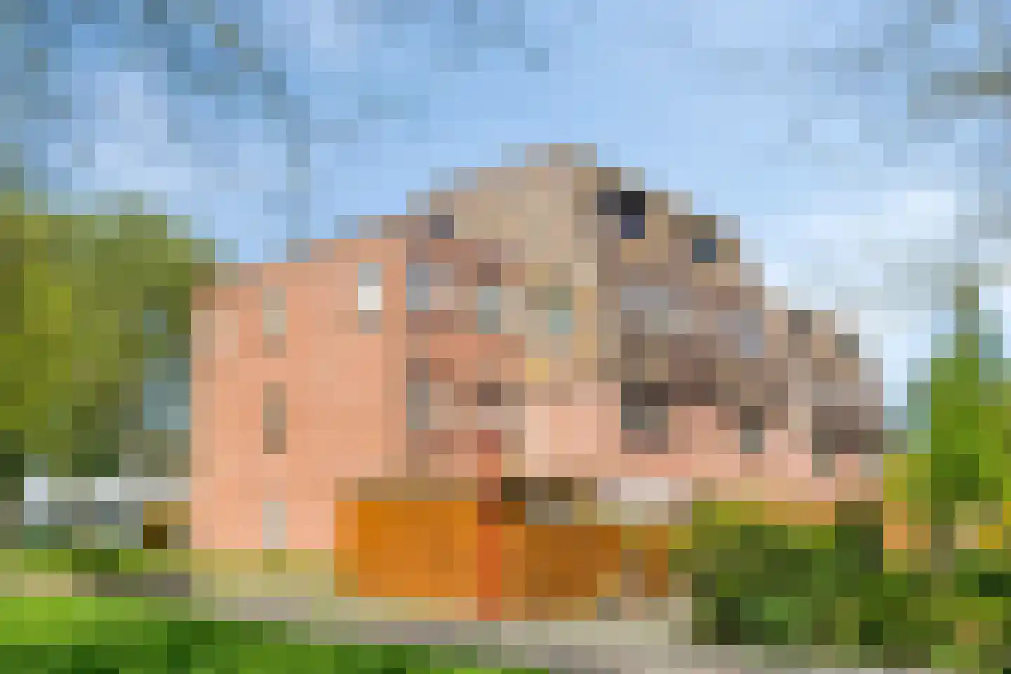 Otterweide 49 Nieuwegein thumbnail 23