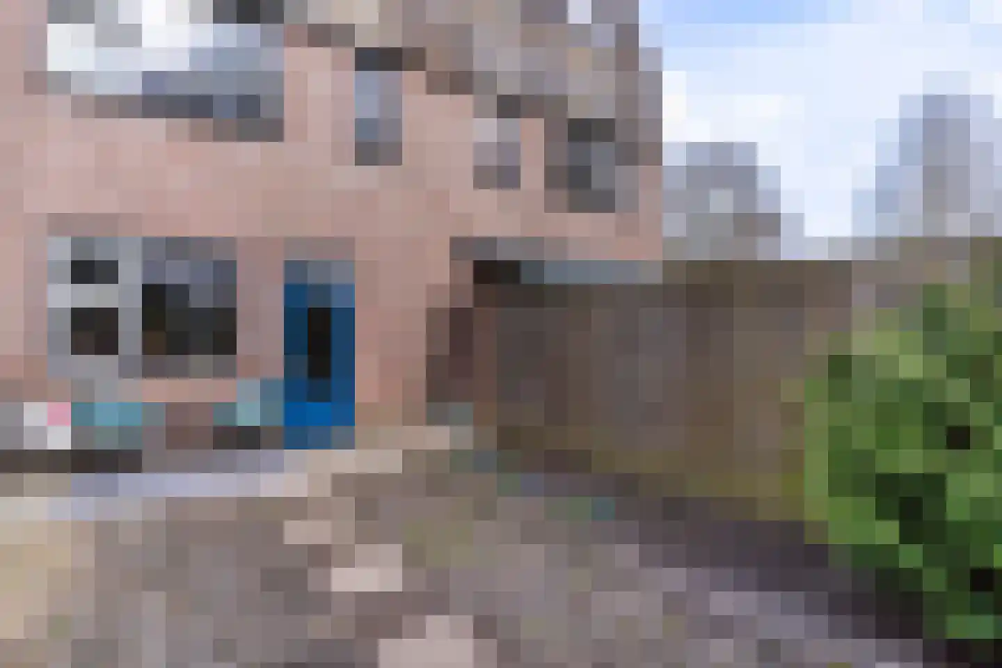 Otterweide 5 Nieuwegein thumbnail 13