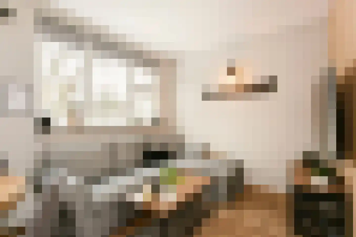 Otterweide 65 Nieuwegein thumbnail 7