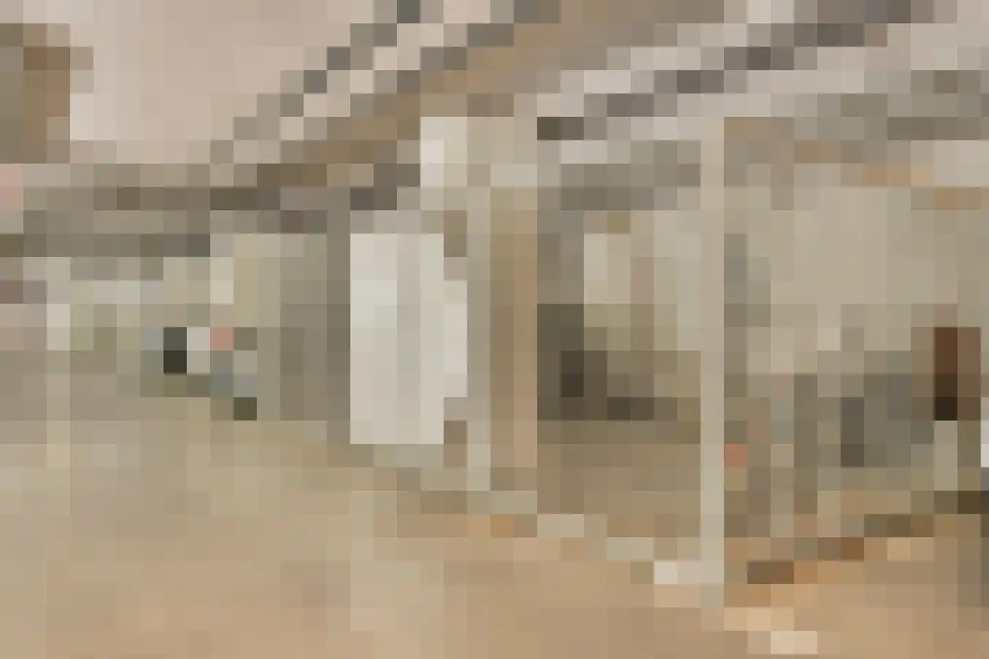 Ottho Heldringstraat 31 B Amsterdam thumbnail 36